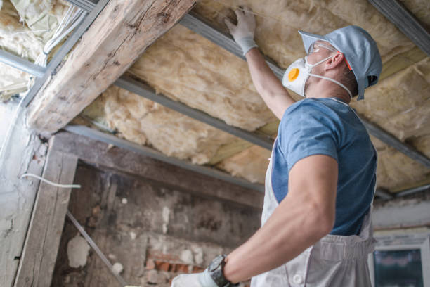 Trusted Peralta, NM Insulation Contractor Experts